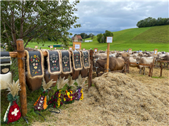 Viehschau Walzenhausen