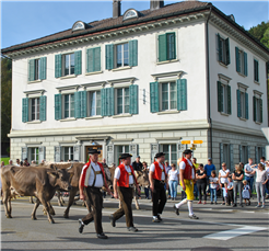 Viehschau Bühler