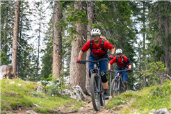 Get ready for the Bike Kingdom!