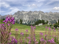 Waldbaden Retreat im Fextal 2025