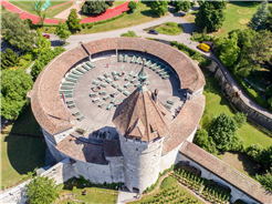 Weinbau und Reben in der Stadt Schaffhausen