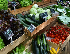 Wuchemärt Rüti, saisonale und regionale Produkte