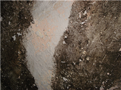 Kunstkasten