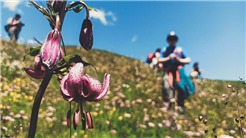 Führung Guggerbachtal Alpinum