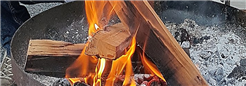 Sommerevent mit Grillplausch