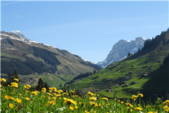 Grillnachmittag auf der Aschariner Alp