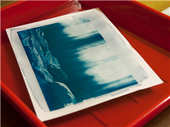Workshop: Cyanotypie – Das edle Blaudruckverfahren