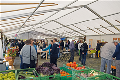 Thaler Markt in Thalkirch