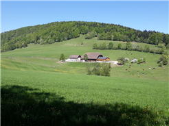1. August-Brunch: Bremgarten