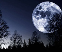 Mond-Laternen Picknick