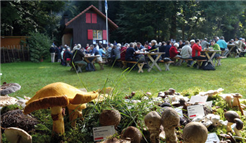 Öffentliches Pilz-Risotto-Essen und Pilzausstellung