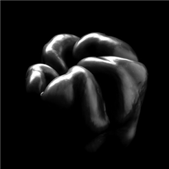 Peter Zbinden My homage to Edward Weston