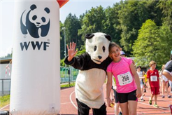 Offizieller WWF-Lauf in Zug
