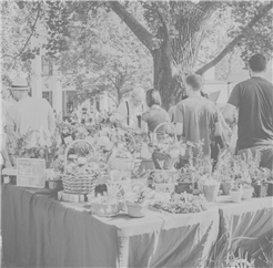Sommerfest