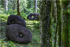 Ausblick – Einsicht Landart Pfad Gerschnialp, Engelberg