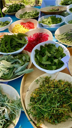 Erlebnis Garten Hilterfingen