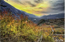 Fotoausstellung - Reben- & Lichtinsel Varen