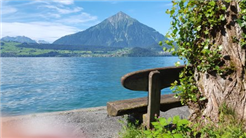 Kulinarischer MerligerCher