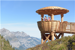 Geführte Wildbeobachtung Mettmen-Alp, Freitag, 12.September 2025