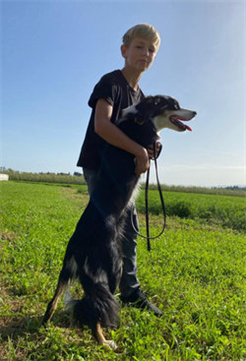 Dogrun.ch Plauschhunderennen und Hundemilitary