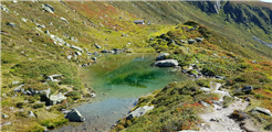 Steingeschichten oberhalb Disentis - Geführte Wanderung