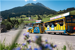 Pinocchio-Express Rundfahrt
