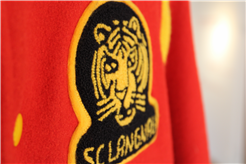 Kulturerbe SCL Tigers