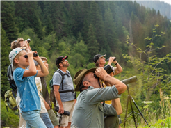 Wildbeobachtung in Obersaxen Mundaun