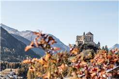 Schlossführungen