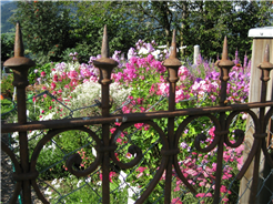 Offener Garten in Obersaxen-Valata