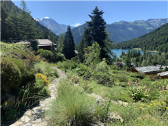 Ouverture du Jardin Flore-Alpe