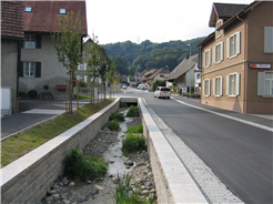 100 Jahre BSLA - Landschaftsrundgang entlang Dorfbach Spreitenbach