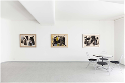 Fritz Winter. Wege zur documenta (1949–1955)