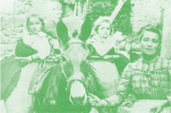 Médiathèque Valais – Martigny: Domestiques photogéniques [DE]