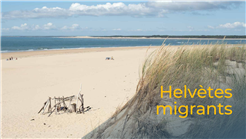 „Helvetische Migranten“ - Sonderausstellung