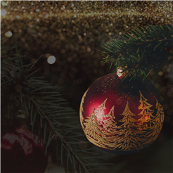 Culinary Christmas Nights