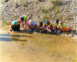 Partons à la découverte des animaux de la gravière
