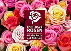 Konfirmationsprojekt Rosenverkauf