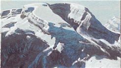 Hedwig Scherrer - Leben und Werk 1878-1940. Eine Dokumentation