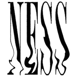 NESS - „LEBEN ÜBERLEBEN“ Tour 2025