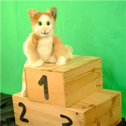 Caruso will gewinnen