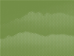 KI in der Freiwilligenarbeit (online-Kurs)