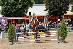 Reitfest Concours Kandersteg