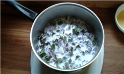 1 Tages Kräuterwanderung mit Kochen 4 Gang Kräuter Menü