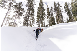 Skitouren für Anfänger*innen und Fortgeschrittene