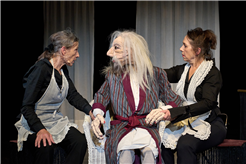 DAKAR: Auf Bäume klettern