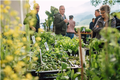 13. Entlebucher Kräuter- und Wildpflanzenmarkt