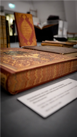 Buch am Mittag: Im Schatten der Regale