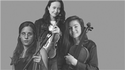 Konzert im Paradies - Streichtrio vom Feinsten