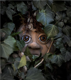 BMT - Muggli dr Waldtroll